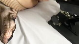 Kitty and the fucking machine