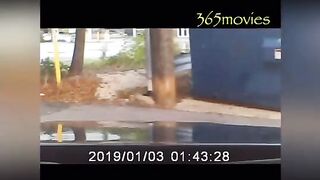 OTHFH On The Hunt For Hos Ep 365 Downtown Alleyway Trailer Park Becky Real Hooker Car Sex 365movies