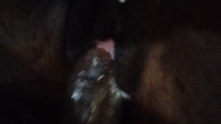 Ice cream pussy ????????????