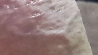 Semi-erecta 23cm xxx